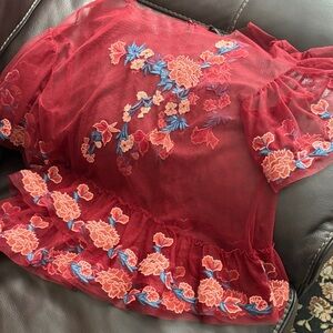 Zara Floral Embroidered Sheer Red Top